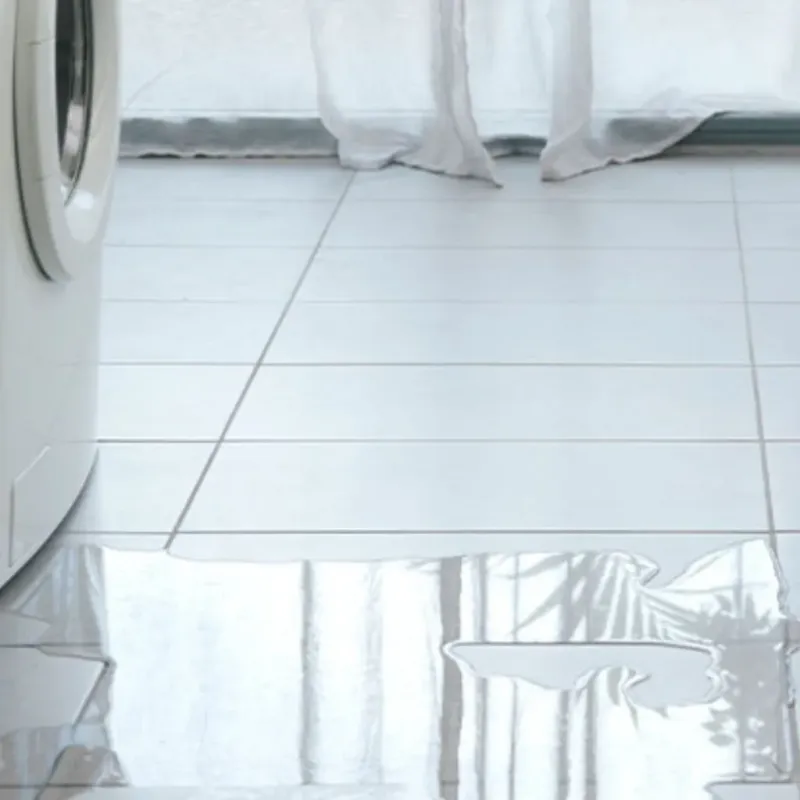 Appliance Leak Cleanup in Cedarburg, WI