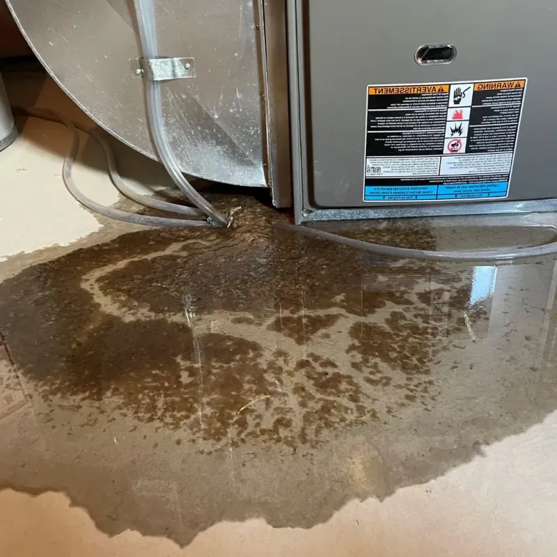 Pipe Burst and Leak Restoration in Cedarburg, WI